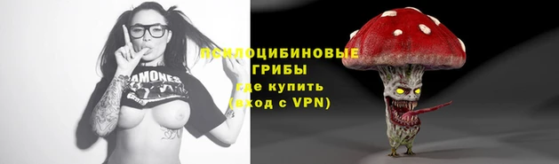 крисы Абдулино